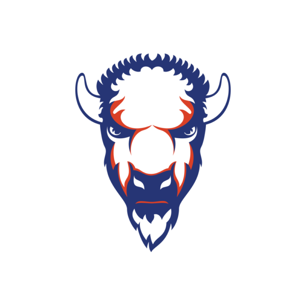Buffalo head