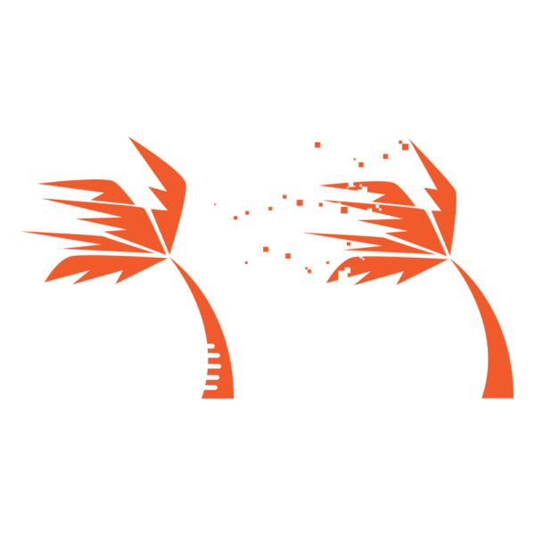 Palm Tree